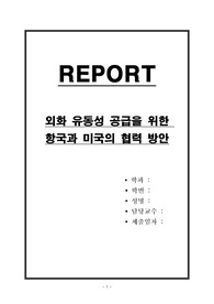 외화 유동성 공급을 위한 한국과 미국의 협력 방안