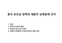 중국 보조금 정책과 대중국 상계관세 조치