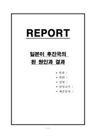 일본이 후진국이 된 원인과 결과