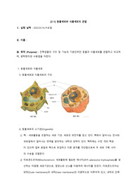 생명과학실험 동물세포와 식물세포의 관찰
