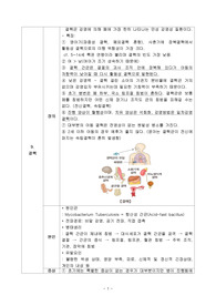 아동간호학 소아 결핵 문헌고찰