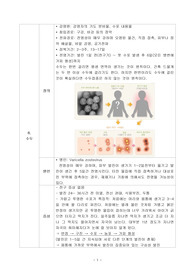 아동간호학 소아 수두 문헌고찰