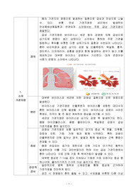아동간호학 소아기관지염 문헌고찰