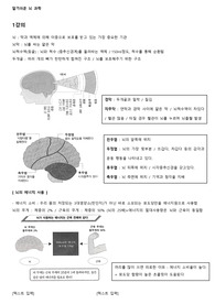 2019 알기쉬운 뇌과학 총정리