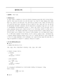 아민의 성질 결과보고서