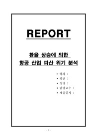 환율 상승에 의한 항공 산업 파산 위기 분석