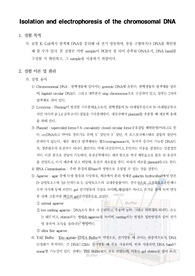 [보건환경미생물학실험]Isolation and electrophoresis of the chromosomal DNA