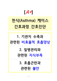 A+ 천식/간호과정/간호진단