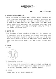 자기 분석보고서