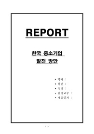 한국 중소기업 발전 방안