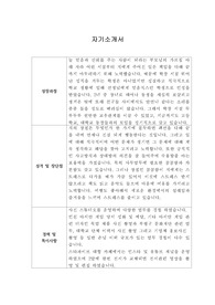 [자기소개서] 나우아이비캐피탈 신입사원 합격 이력서