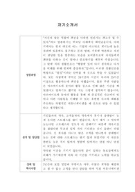 [자기소개서] 크래프톤 신입사원 합격 이력서