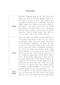 [자기소개서] 서울보증보험 신입사원 합격 이력서