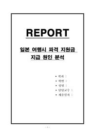 일본 여행시 파격 지원금 원인 분석