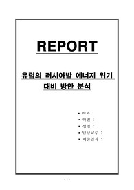 유럽의 러시아발 에너지 위기 대비 방안 분석
