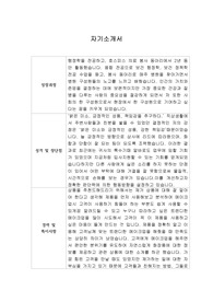 [자기소개서] 11번가 신입사원 합격 이력서
