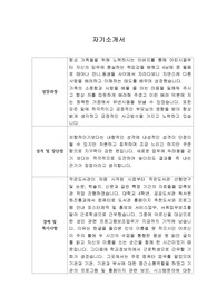 [자기소개서] 씨제이대한통운 신입사원 합격 이력서