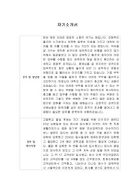 [자기소개서] SK아이이테크놀로지 신입사원 합격 이력서