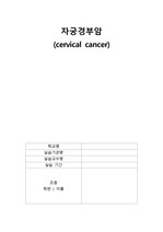 [A+] 모성간호학 실습 자궁경부암 SOAP 케이스 (부인과, 간호진단 3개)