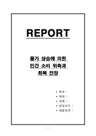 물가 상승에 의한 민간소비 위축과 회복 전망