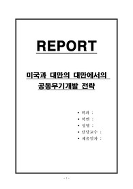 미국과 대만의 대만에서의 공동무기개발 전략