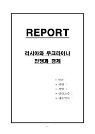 러시아와 우크라이나 전쟁과 경제