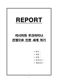 러시아와 우크라이나 전쟁으로 인한 세계 위기