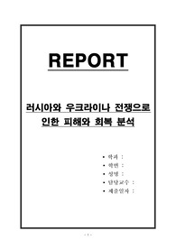 러시아와 우크라이나 전쟁으로 인한 피해와 회복 분석