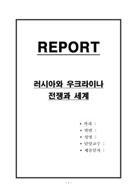 우크라이나 전쟁과 세계