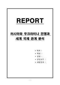 우크라이나 전쟁과 세계 국제 관계