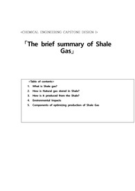 연세대학교/화공종합설계&lt;셰일가스에 대하여&gt; (The brief summary of Shale Gas)