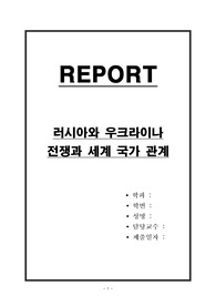 우크라이나 전쟁과 세계 국제 관계