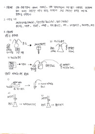 KMnO4 표준용액 만들기