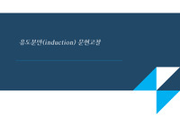 유도분만 문헌고찰로 유도분만에 대한 내용을 모두 요약정리하였습니다 여성간호학과제로 냈었습니다
