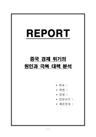 중국 경제 위기의 원인과 극복 대책 분석