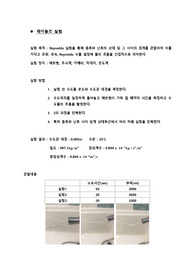 레이놀즈 실험 보고서