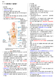 병리학_요점정리_11.내분비계통 &amp; 호흡계통