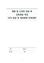 영화 및 드라마 감상 후 간호과정 조커 감상 후 망상장애 간호과정