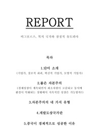 비그포르스, 복지 국가와 잠정적 유토피아 독후감