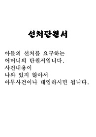 선처탄원서(아들을 위한 어머니의 선처탄원서)