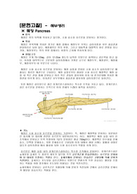 췌장염/문헌고찰/케이스스터디/간호진단/간호과정