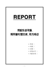 개발도상국들 채무불이행으로 국가파산