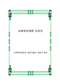 사회복지실천과 실천기술의 개념과 특성
