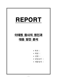이태원 참사의 원인과 대응 방안 분석