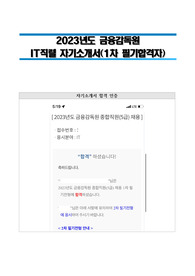 2023년도 금융감독원 IT직렬 자기소개서(1차 필기합격자)