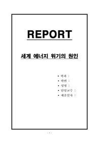 세계 에너지 위기의 원인