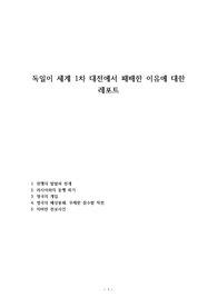 독일이 세계 1차 대전에서 패배한 이유에 대한 레포트