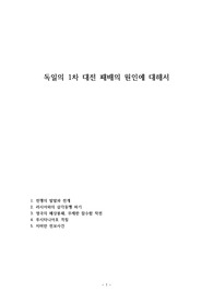 독일의 1차 대전 패배의 원인에 대해서