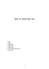 세계 1차 대전에 대한 정리