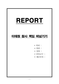 이태원 참사 책임 떠넘기기